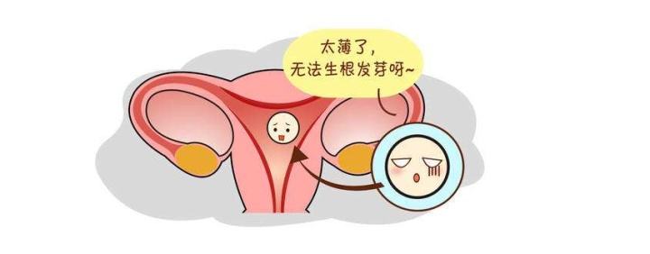 试管婴儿移植前如何快速的增长内膜呢？