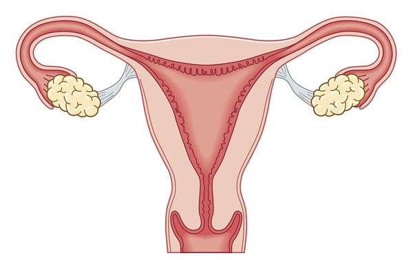 如何改善卵巢功能提高卵子质量？