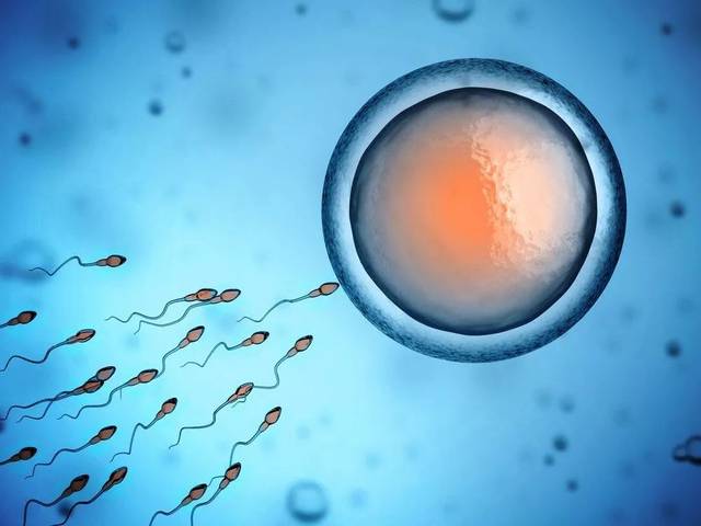 武汉助孕禁欲几何天能补满精子？3大妙招