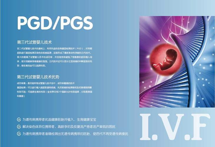 去国外做三代试管婴儿应该选择哪个国家