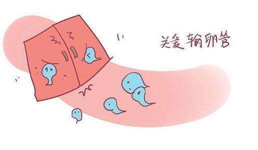 试管婴儿促排卵的作用是什么？