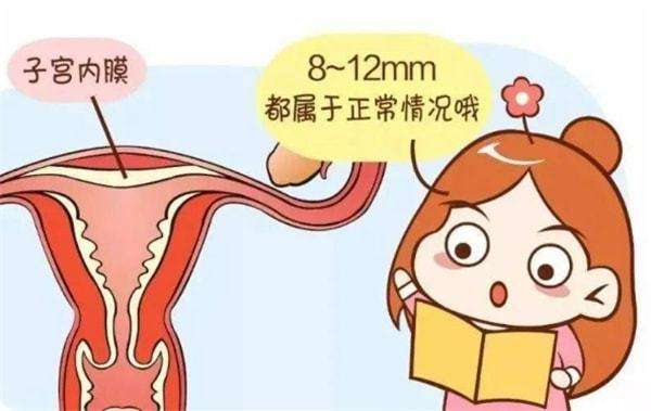 试管婴儿移植前如何快速的长内膜呢？
