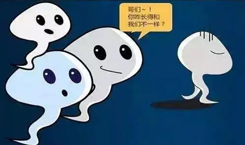死精和活精有什么判断方法吗？死精和活