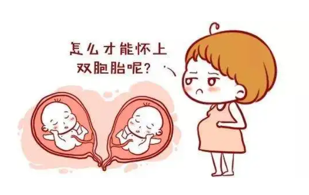 双胞胎并不是那么容易怀上的，普通人怎