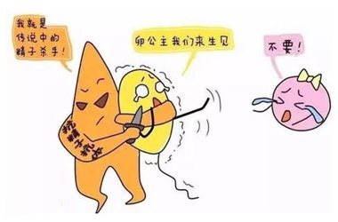 什么是女性抗精子抗体？