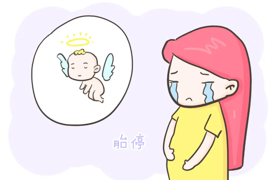 试管婴儿什么时候容易胎停？